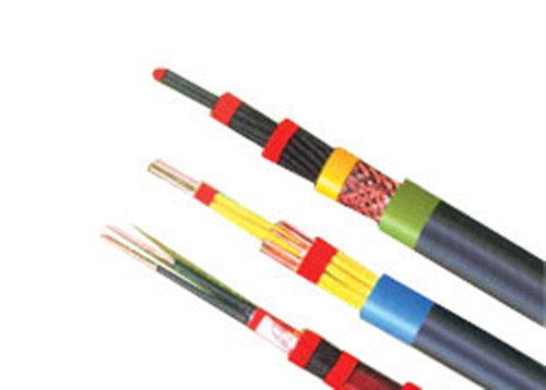 氟塑料J緣和護套耐高溫（控制）電纜